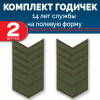 Набор годичек 14 лет полевые 2 шт
