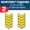 Набор годичек 25 лет оливковый фон желтый шелк 2 шт