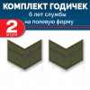 Набор годичек 6 лет полевые 2 шт