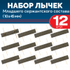 Набор лычек МВД, ФСИН, Росгвардии металлических черных 10*45 мм (12 шт)