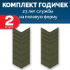 Набор годичек 23 года полевые 2 шт