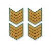 Набор курсовок МЧС 4 курса нового образца морской волны пришивных 4 шт