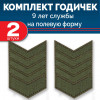 Набор годичек 9 лет полевые 2 шт