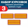 Набор курсовок па прямая 2 курс (желтая, красный фон) 3 шт