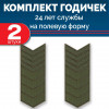 Набор годичек 24 года полевые 2 шт