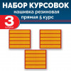 Набор курсовок па прямая 5 курс (желтая, красный фон) 3 шт