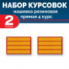 Набор курсовок па прямая 4 курс (желтая, красный фон) 2 шт