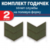 Набор годичек 10 лет полевые 2 шт