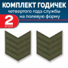 Набор годичек 4 года полевые 2 шт